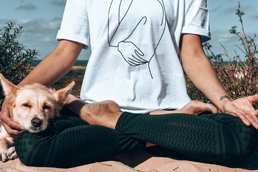 Yoga exercises: popular asanas for beginners and advanced users